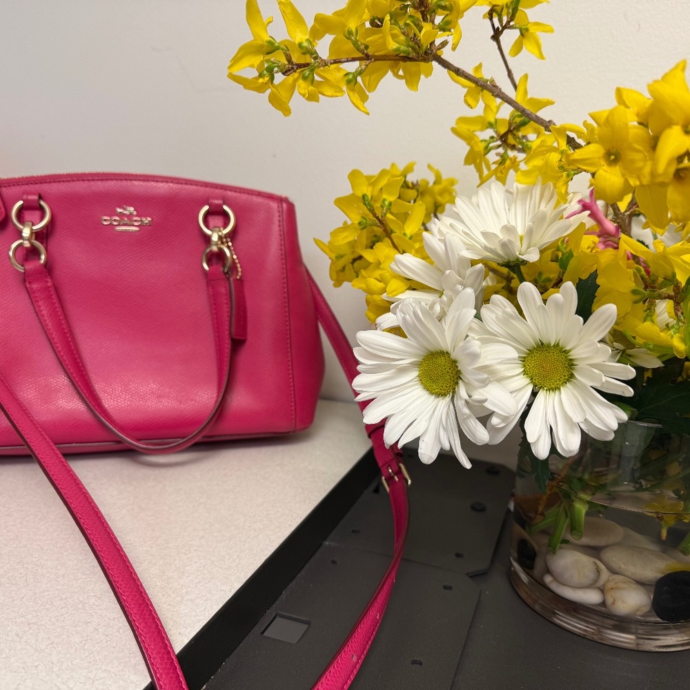 Coach bag/purse excellent condition